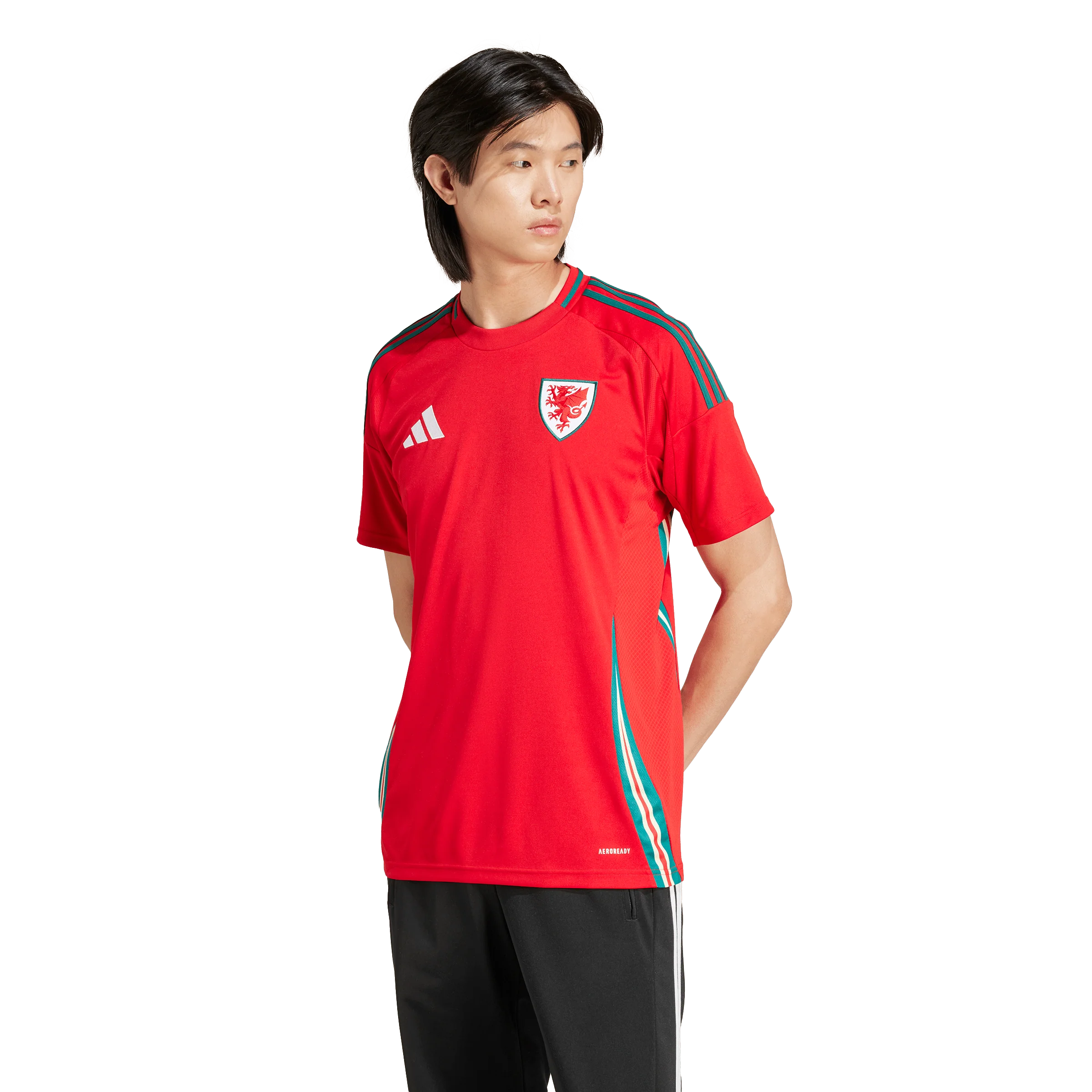 Wales National Adults Home Jersey 2024 - Image 5