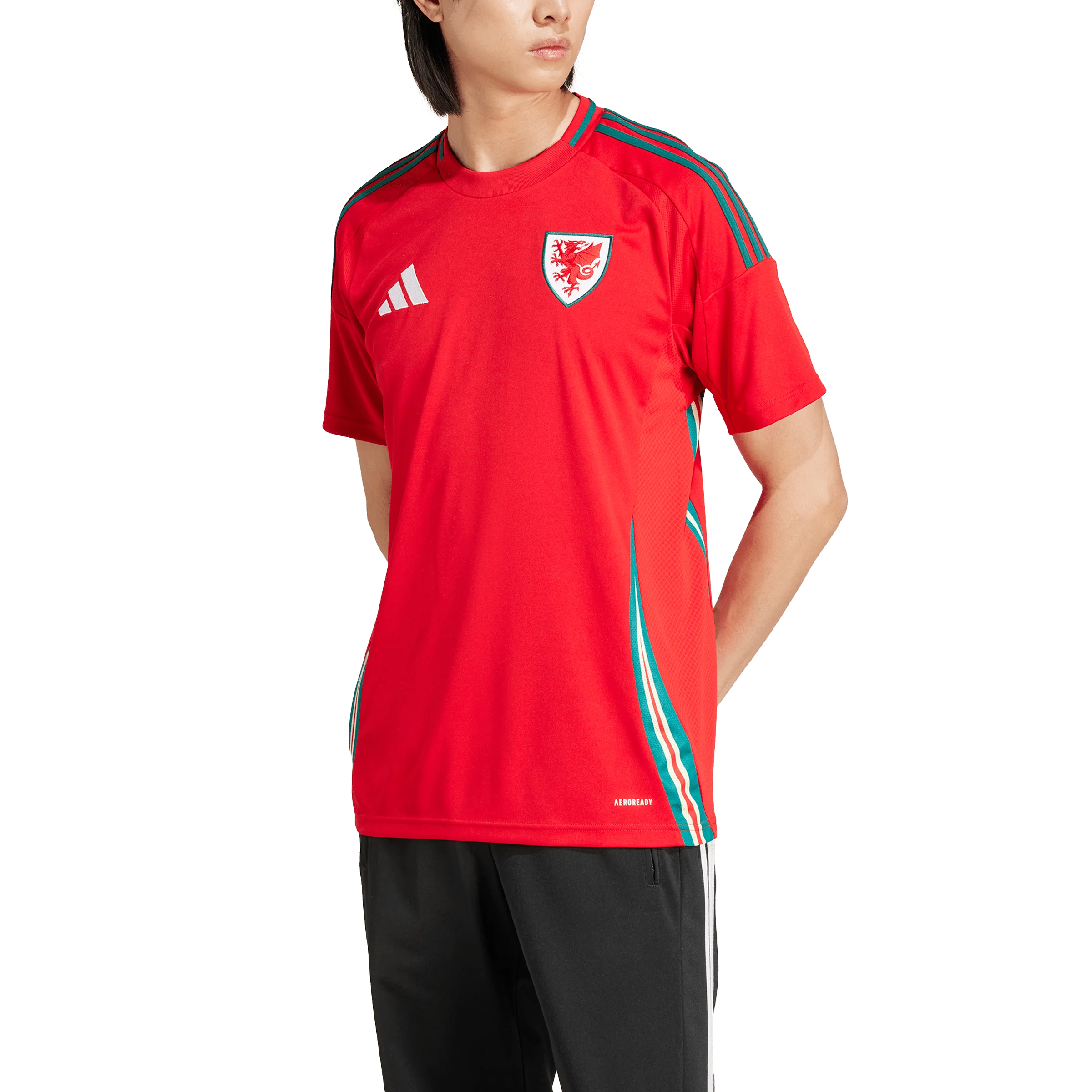 Wales National Adults Home Jersey 2024 - Image 6