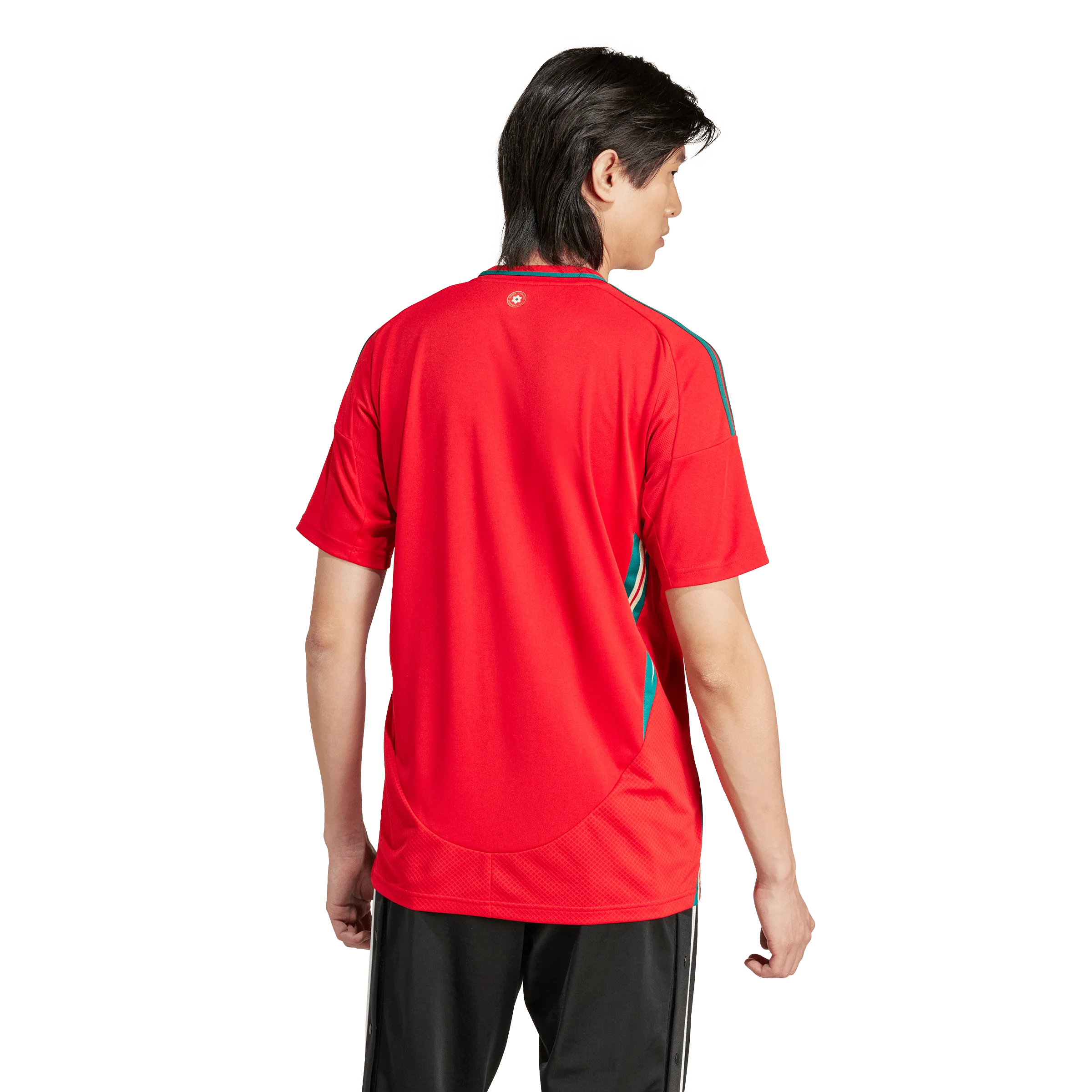 Wales National Adults Home Jersey 2024 - Image 7
